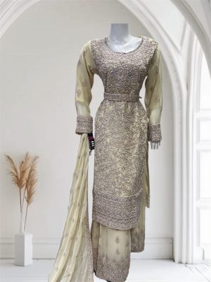 Alternative view of D24 Party Chiffon Plazzo Maroon (Copy)